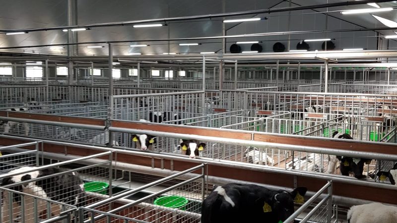 电商孵化代理如何选靠谱公司